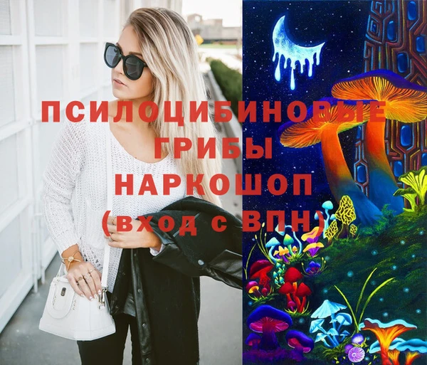 ПСИЛОЦИБИНОВЫЕ ГРИБЫ Алексеевка