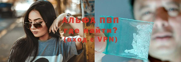 гидра Алексин
