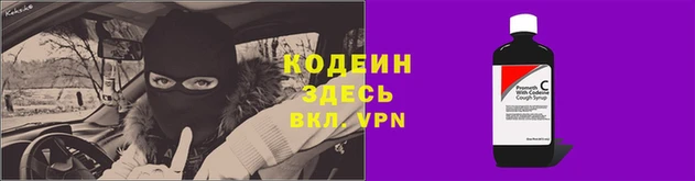 прущие грибы Арсеньев
